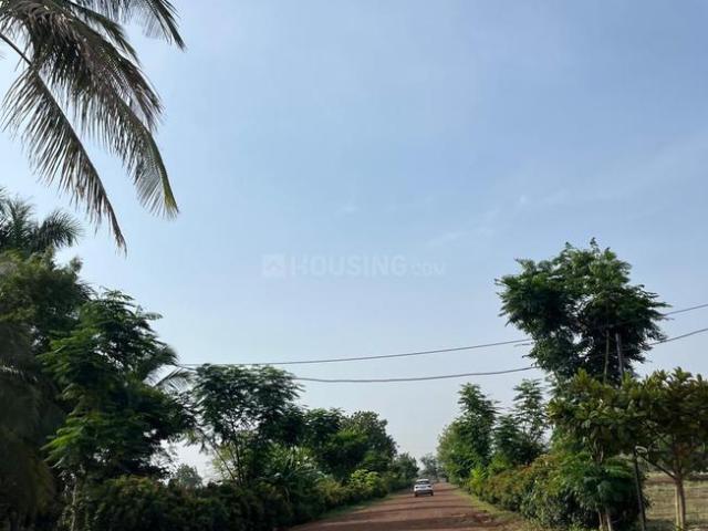 Agricultural Land in Tatibandh for resale Raipur. The reference number is 21084989