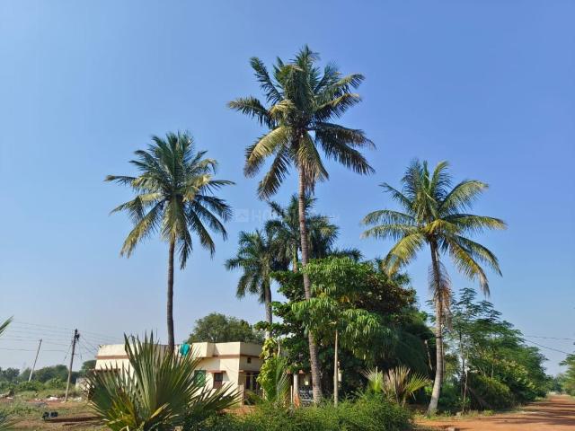 Agricultural Land in Tatibandh for resale Raipur. The reference number is 21137975