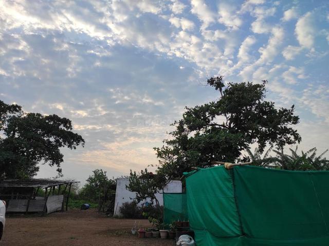 Agricultural Land in Tatibandh for resale Raipur. The reference number is 21207532
