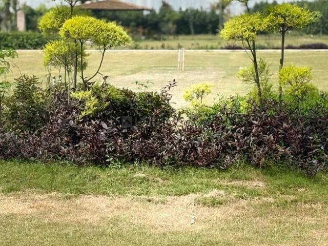 Agricultural Land in Tech Zone for resale Greater Noida. The reference number is 20838225