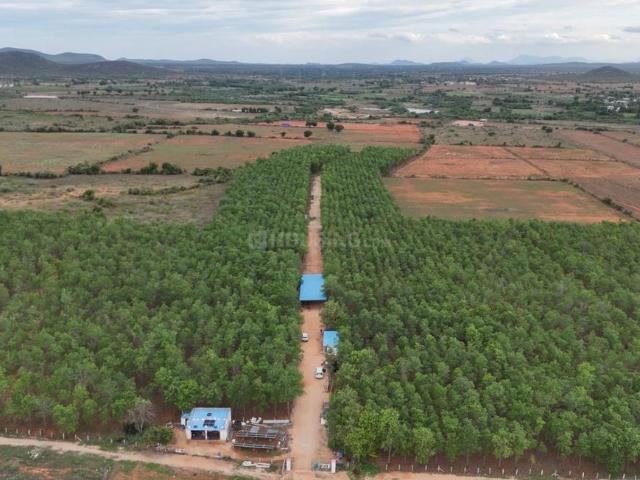 Agricultural Land in Telugu Ganga Colony for resale Kadapa. The reference number is 17565369