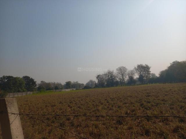 Agricultural Land in Thol for resale Ahmedabad. The reference number is 19574870
