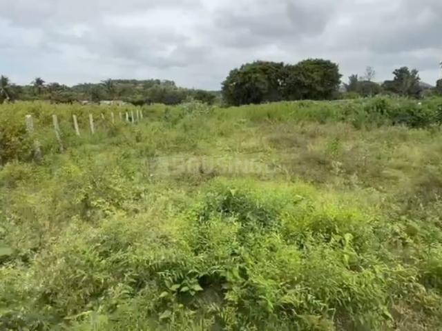 Agricultural Land in Tharalu for resale Bengaluru. The reference number is 18592611
