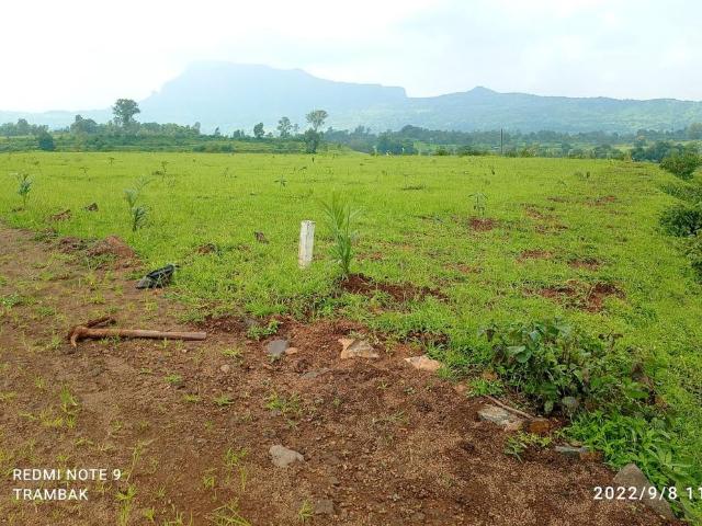 Agricultural Land in Trimbak for resale Nashik. The reference number is 10118850