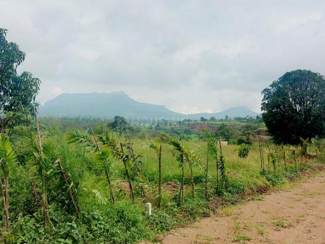 Agricultural Land in Trimbak for resale Nashik. The reference number is 10836742