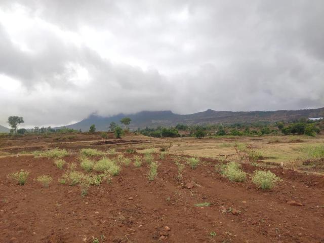 Agricultural Land in Trimbak for resale Nashik. The reference number is 9663010