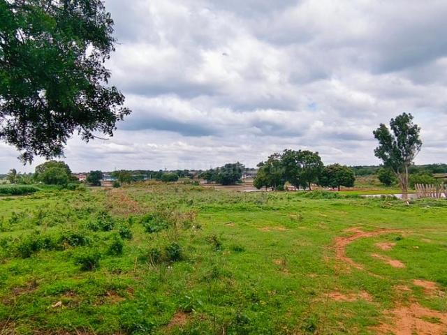 Agricultural Land in Tukkuguda for resale Hyderabad. The reference number is 20708360
