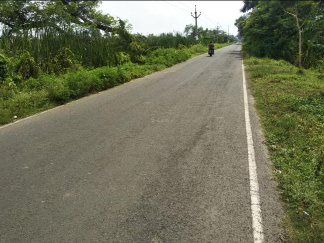 Agricultural Land in Uluberia for resale Howrah. The reference number is 8303298