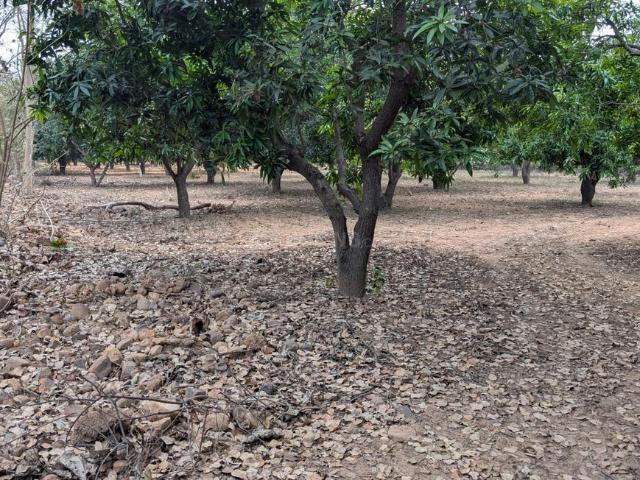 Agricultural Land in Uthukkottai for resale Chennai. The reference number is 19907602