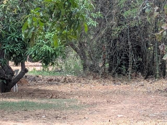 Agricultural Land in Uthukkottai for resale Chennai. The reference number is 19908116