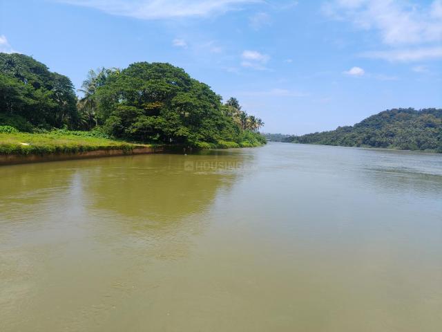 Agricultural Land in Vamanjoor for resale Mangalore. The reference number is 21054026