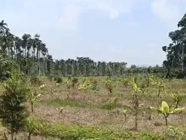 Agricultural Land in Varuna for resale Mysore. The reference number is 21010373