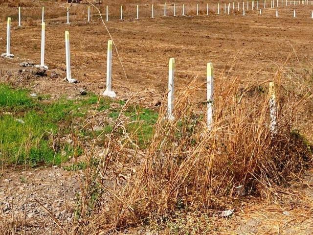 Agricultural Land in Vindhane for resale Navi Mumbai. The reference number is 21056083