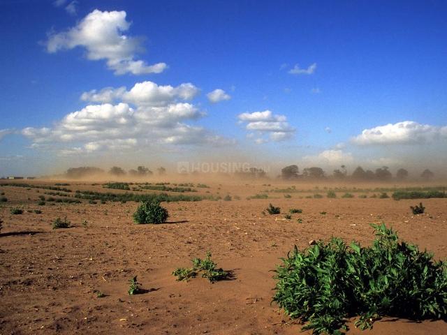 Agricultural Land in Visalpur for resale Ahmedabad. The reference number is 18451824
