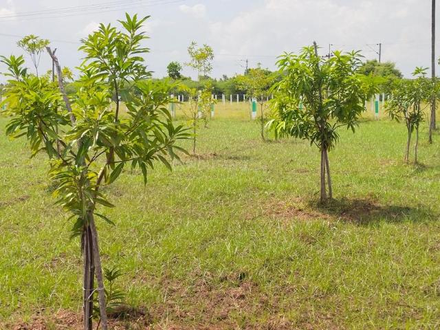 Agricultural Land in Walajabad for resale Chennai. The reference number is 18883176