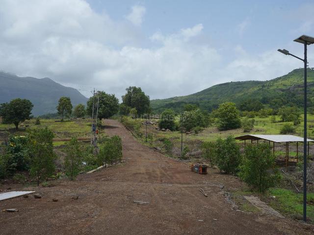 Agricultural Land in Zarwad Bk for resale Nashik. The reference number is 20704500