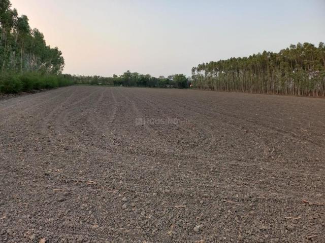 Agricultural Land in Agol for resale Mehsana. The reference number is 21211577