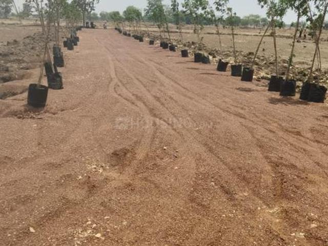 Agricultural Land in Amleshwar for resale Raipur. The reference number is 20095304