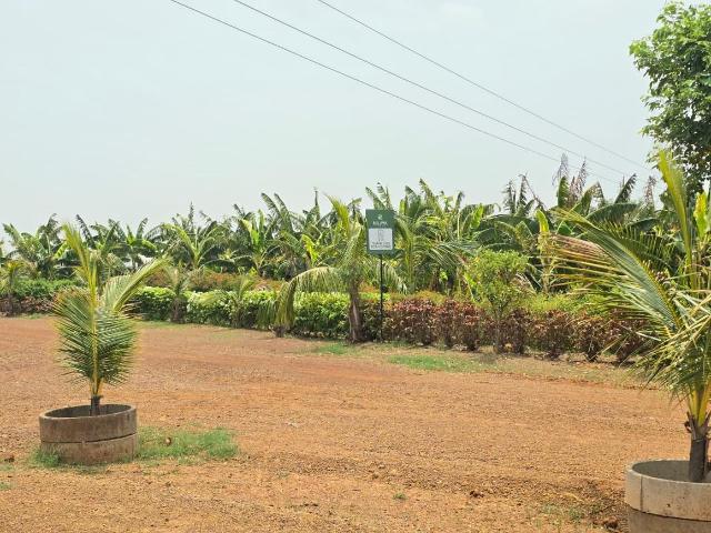 Agricultural Land in Amleshwar for resale Raipur. The reference number is 21093535