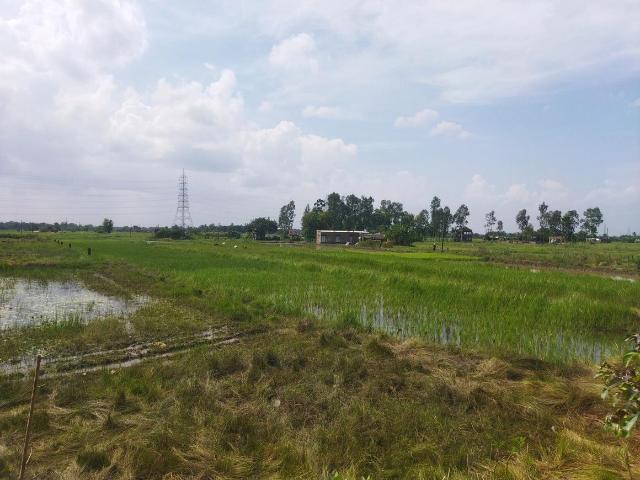 Agricultural Land in Jagadishpur, Sonarpur for resale Kolkata. The reference number is 15920093