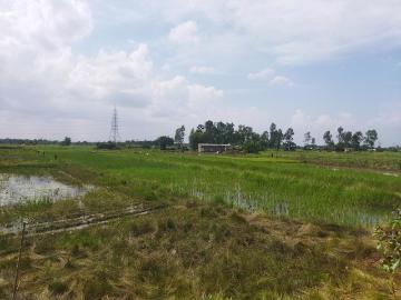 Sunderban Residency, Sinhagad Road, Pune, Pune District, Maharashtra