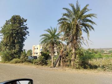 Agricultural Land in Bhojpur Road for resale Bhopal. The reference number is 18953414
