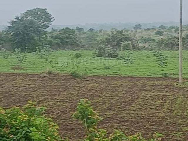 Agricultural Land in Bangrasia for resale Bhopal. The reference number is 20639090