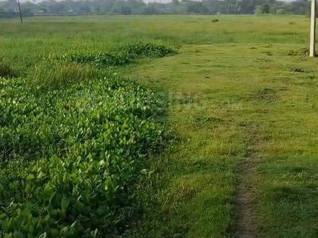 Agricultural Land in Baruipur for resale Kolkata. The reference number is 21331676