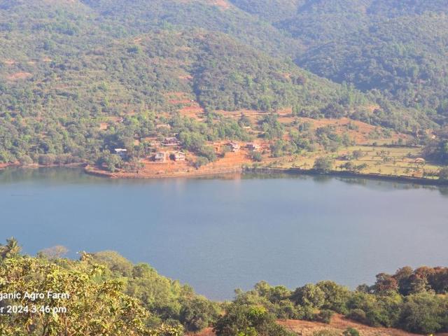 Agricultural Land in Bhor for resale Pune. The reference number is 18786675