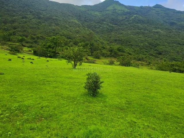 Agricultural Land in Bhor for resale Pune. The reference number is 19682042