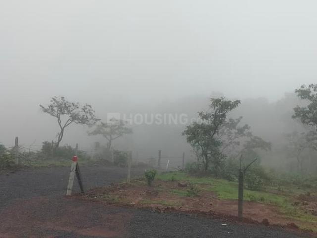 Agricultural Land in Bhor for resale Pune. The reference number is 21045981