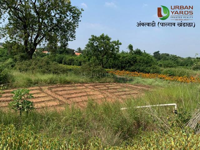 Agricultural Land in Bhor for resale Pune. The reference number is 21318004