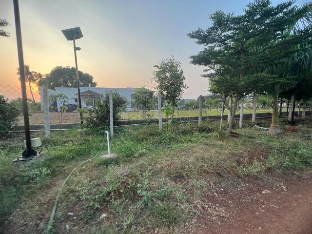 Agricultural Land in Bhatagaon for resale Raipur. The reference number is 15347332