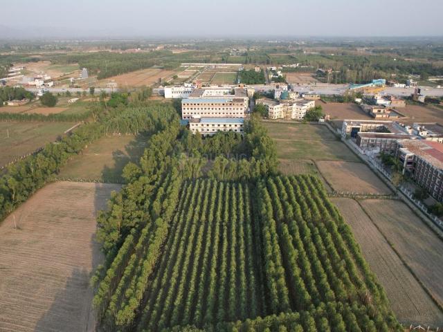 Agricultural Land in Biharigarh for resale Saharanpur. The reference number is 20292647
