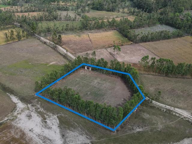 Agricultural Land in Biharigarh for resale Saharanpur. The reference number is 20201281
