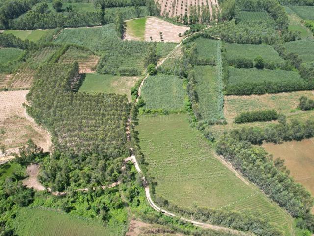Agricultural Land in Biharigarh for resale Saharanpur. The reference number is 20804772