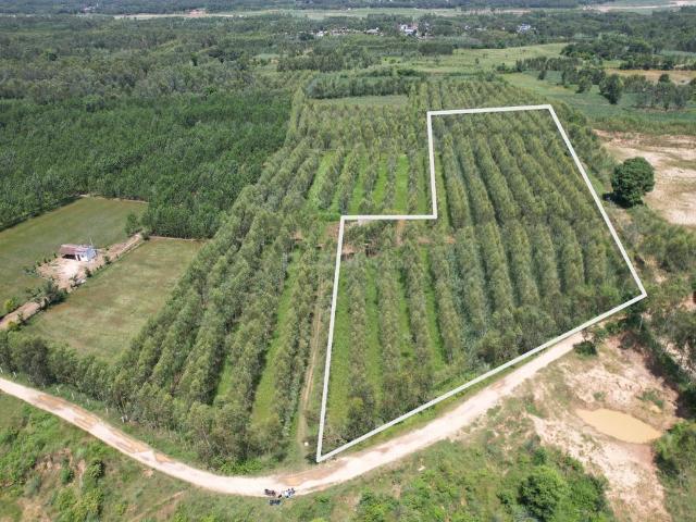 Agricultural Land in Biharigarh for resale Saharanpur. The reference number is 20805190