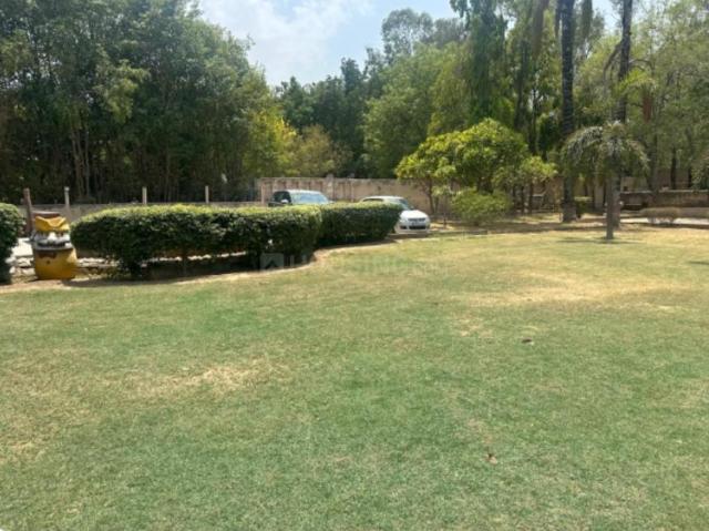 Agricultural Land in Bijwasan for resale New Delhi. The reference number is 20048707
