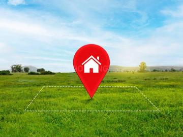 Agricultural Land in Chekhla for resale Ahmedabad. The reference number is 20343162