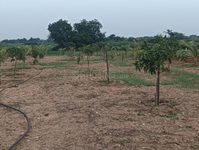 Agricultural Land in Chilkur for resale Hyderabad. The reference number is 21187645