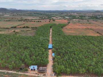 Cuddapah, Cuddapah District, Karnataka