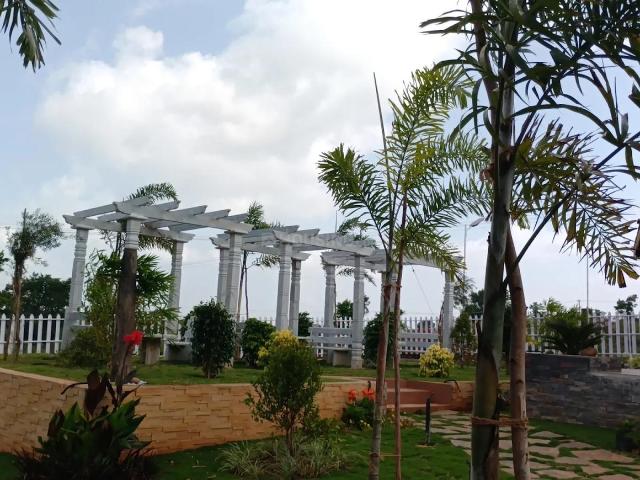 Agricultural Land in Denkanikottai for resale Krishnagiri. The reference number is 21036011