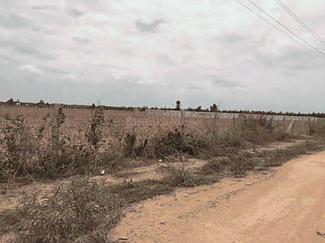 Agricultural Land in Devanahalli for resale Bengaluru. The reference number is 20547618