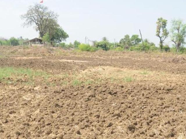 Agricultural Land in Dholka for resale Ahmedabad. The reference number is 20452636