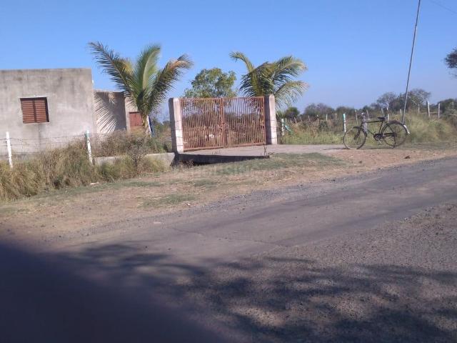 Agricultural Land in Dholka for resale Ahmedabad. The reference number is 8850325