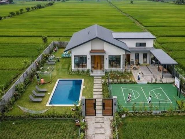Agricultural Land in Dhankya for resale Jaipur. The reference number is 20523405