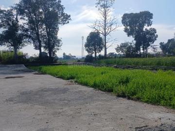 Agricultural Land in Doiwala for resale Dehradun. The reference number is 20083868