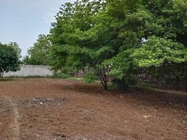 Agricultural Land in Fatehpur Beri for resale New Delhi. The reference number is 11207303