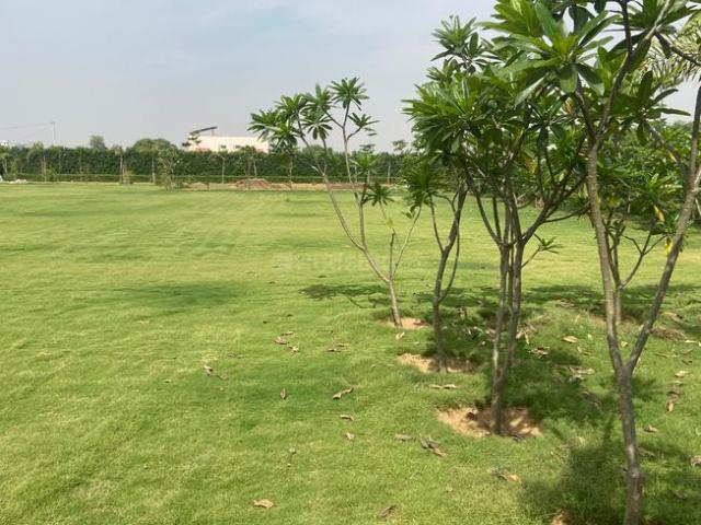 Agricultural Land in Garhi Harsaru for resale Gurgaon. The reference number is 20368266