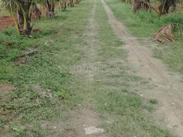 Agricultural Land in Gejjagalli for resale Mysore. The reference number is 19525277
